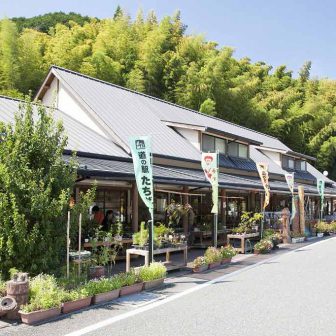 道の駅たちばな