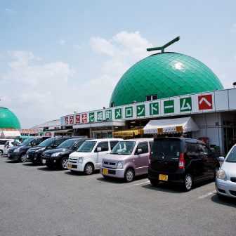 道の駅七城メロンドーム