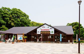 道の駅昆虫の里たびら
