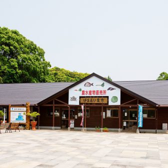 道の駅昆虫の里たびら