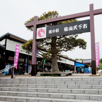 道の駅桃山天下市