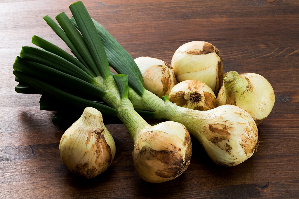 たまねぎ