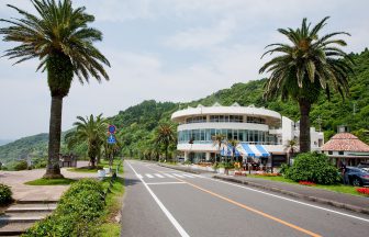 道の駅フェニックス