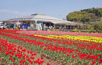 道の駅原尻の滝