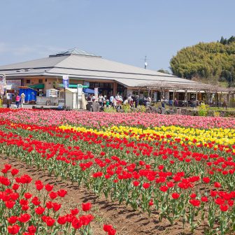 道の駅原尻の滝