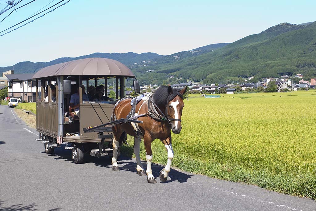 辻馬車