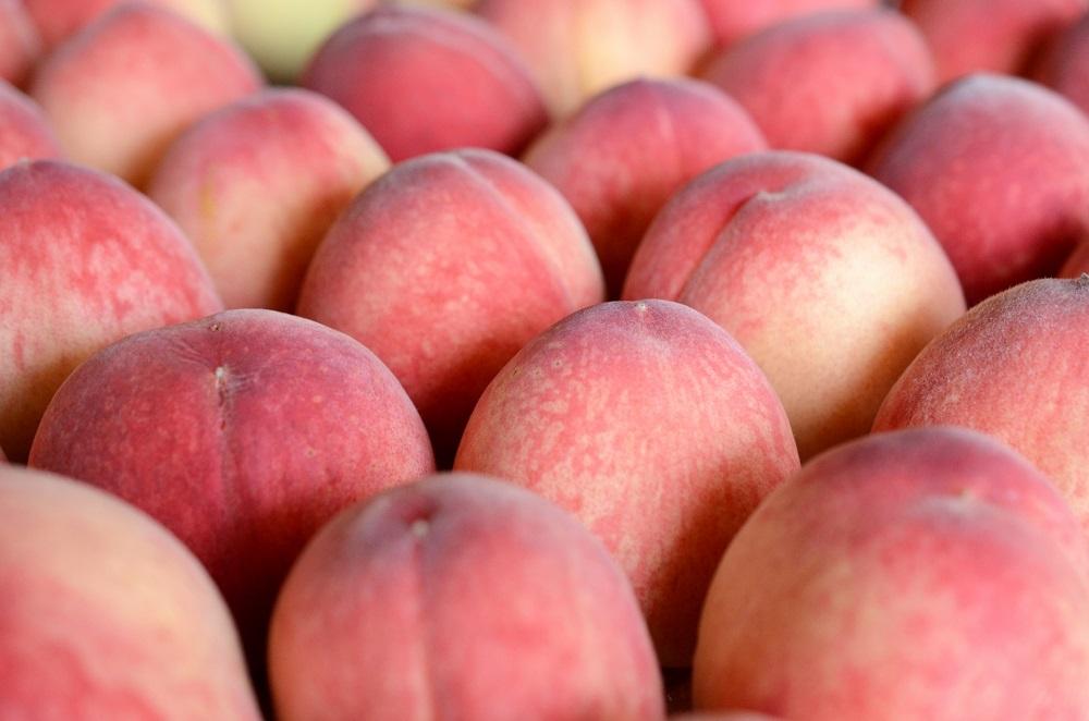 道の駅うきは　桃
