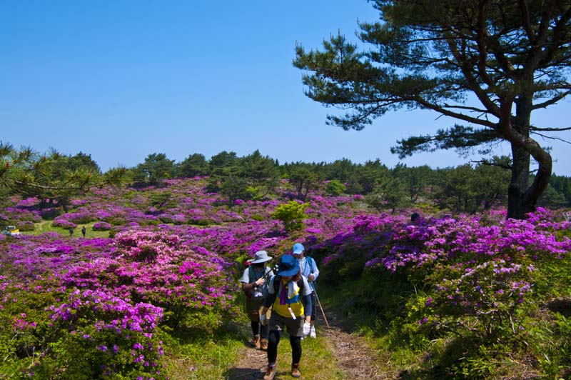 万年山（はねやま）トレッキング