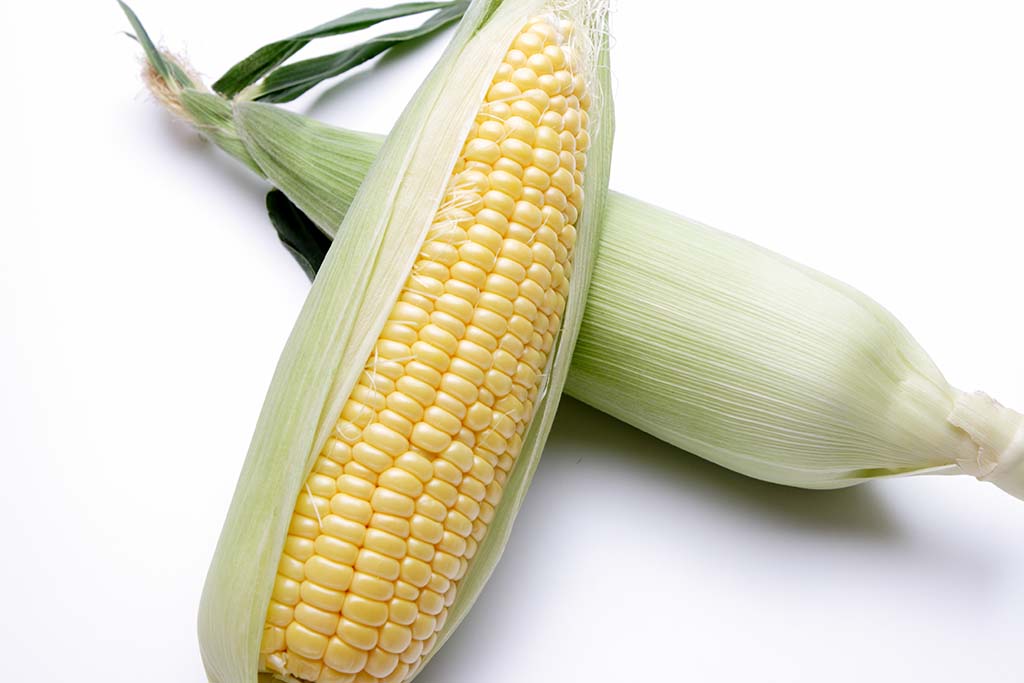 スイートコーン