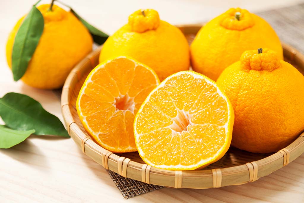 デコポン（不知火）道の駅不知火