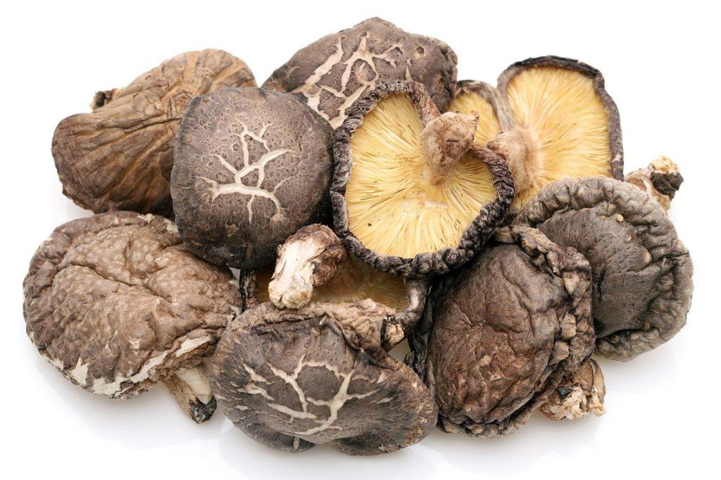 道の駅宇目　干し椎茸