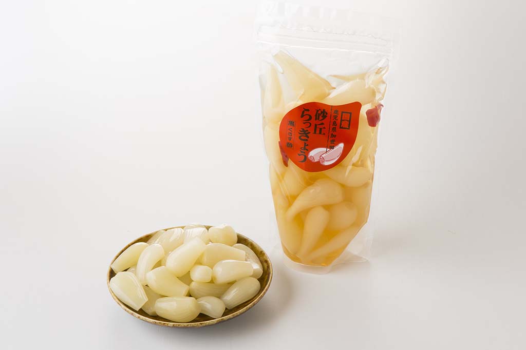 加世田の砂丘らっきょう