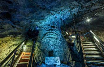 水滴が滴り落ちるうちに、水の結合作用でできる鍾乳石。１年に１ミリという気の遠くなる成長をする。