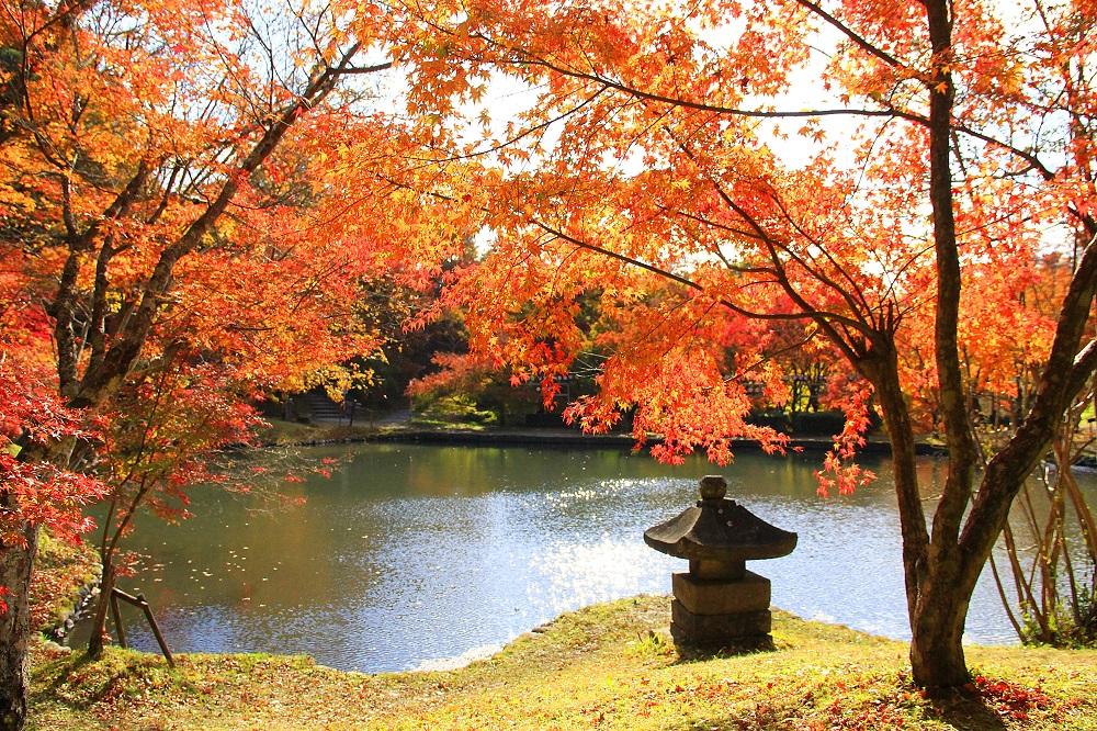 用作公園の紅葉