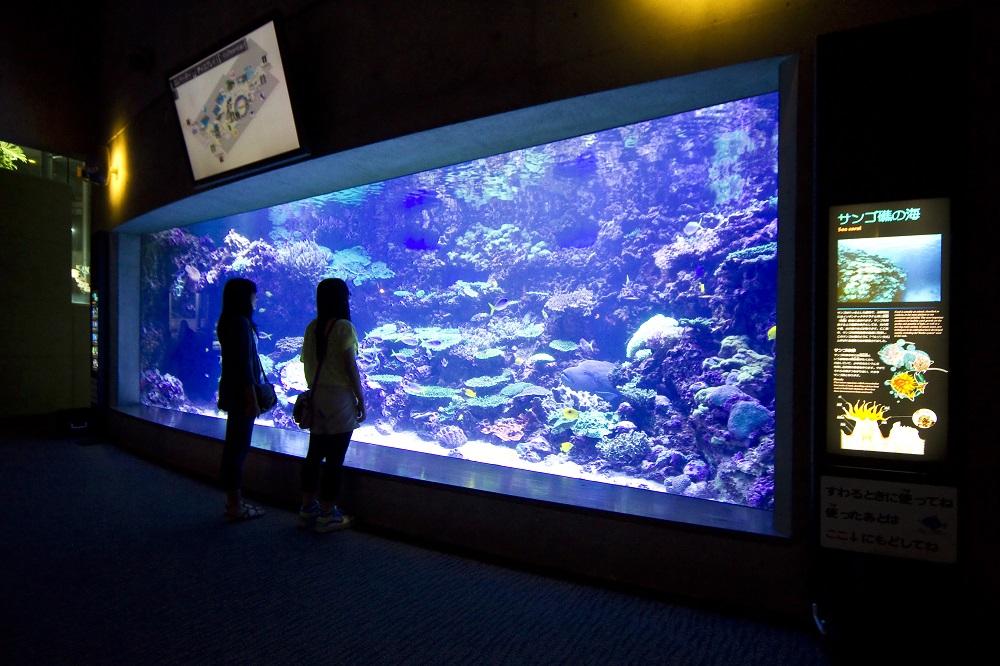 大分マリー―パレス水族館うみたまご