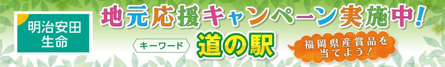 明治安田生命 地元応援キャンペーン実施中