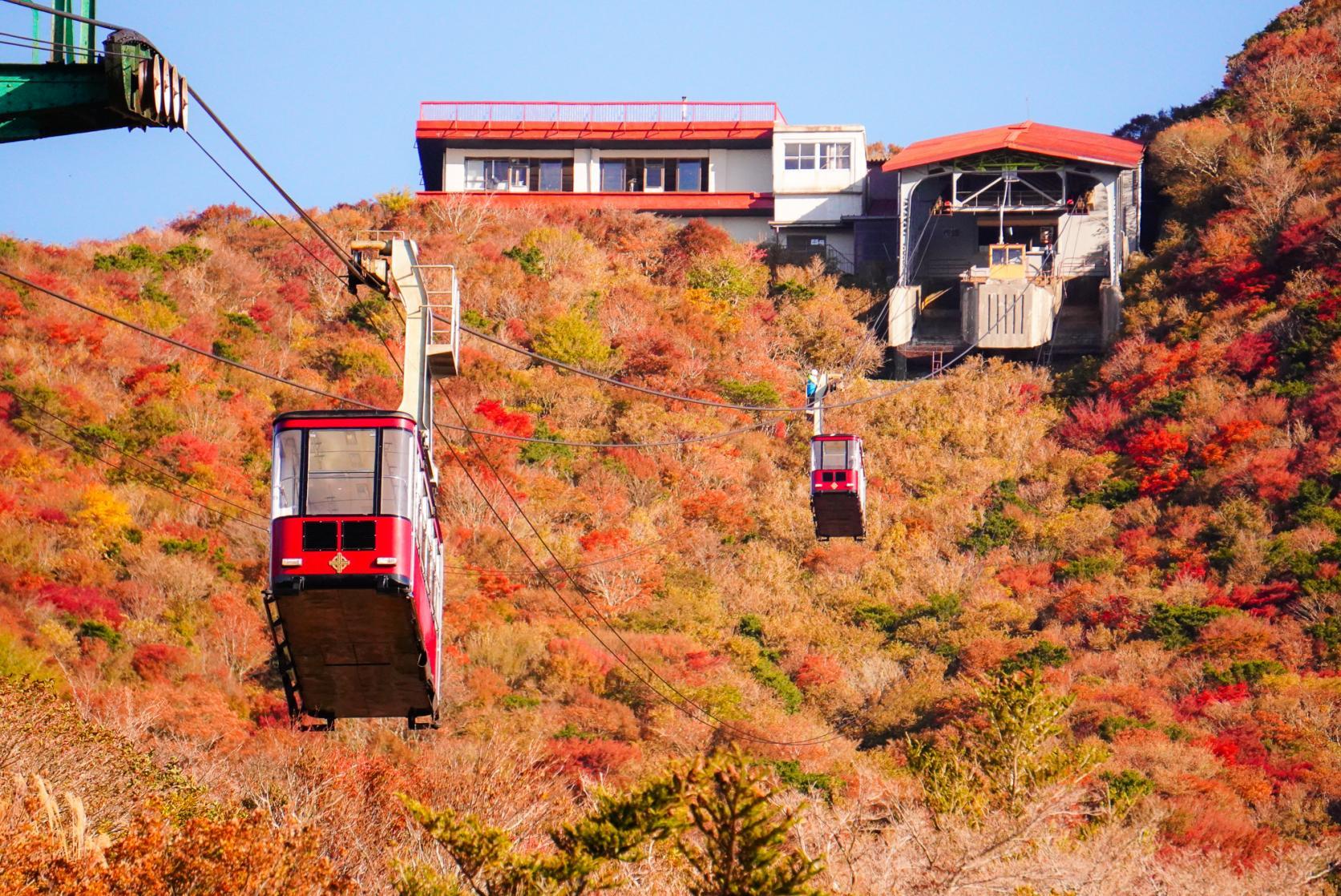 雲仙　仁田峠　紅葉