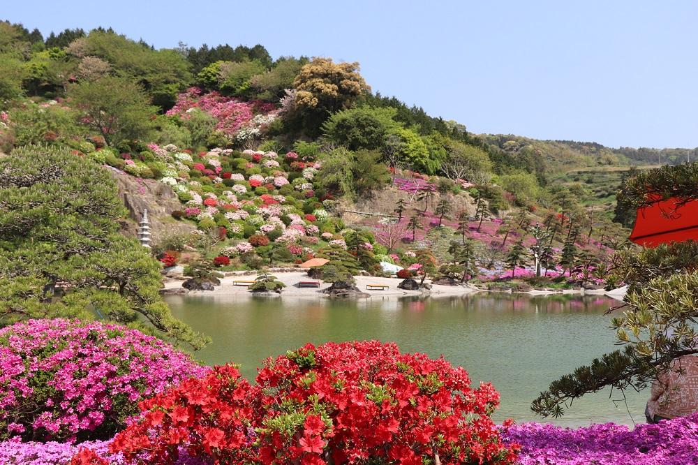 佐世保花園全景
