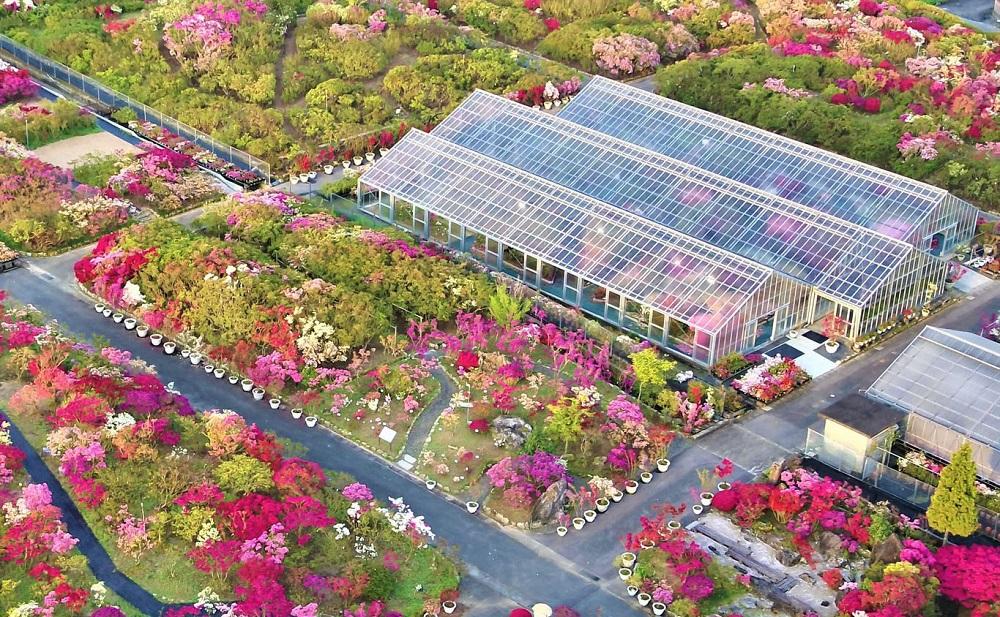 久留米世界つつじセンター