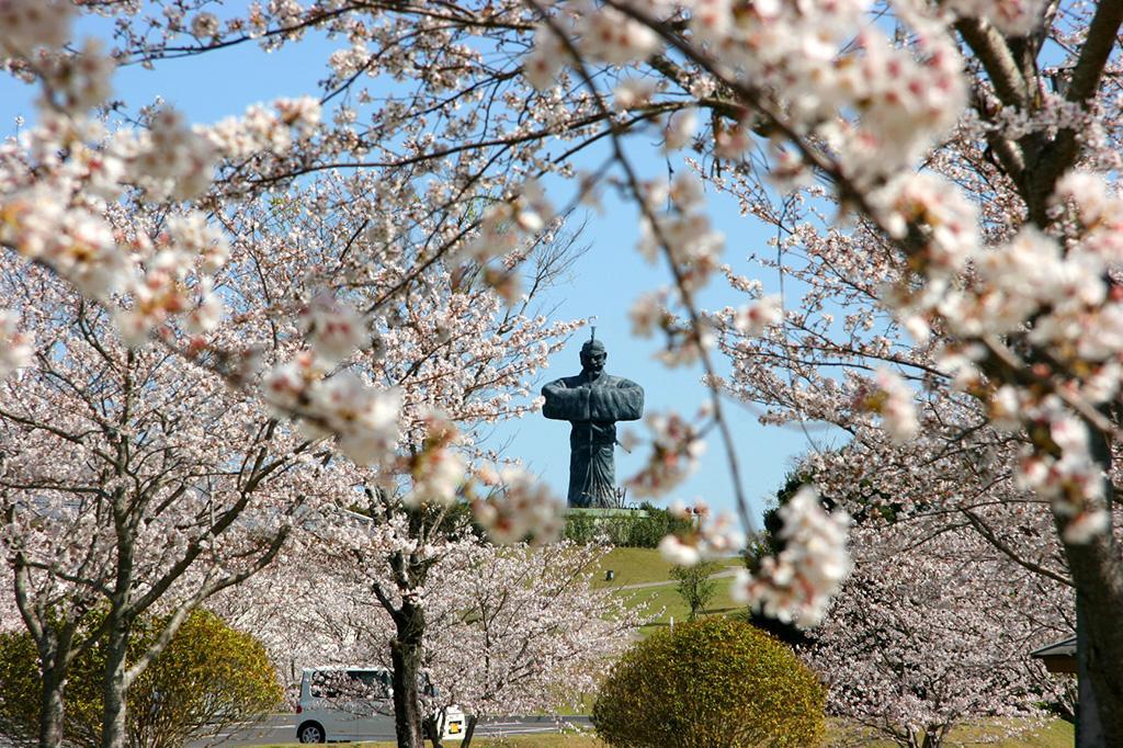 おおすみ弥五郎伝説の里　桜