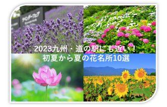夏の花名所タイトル