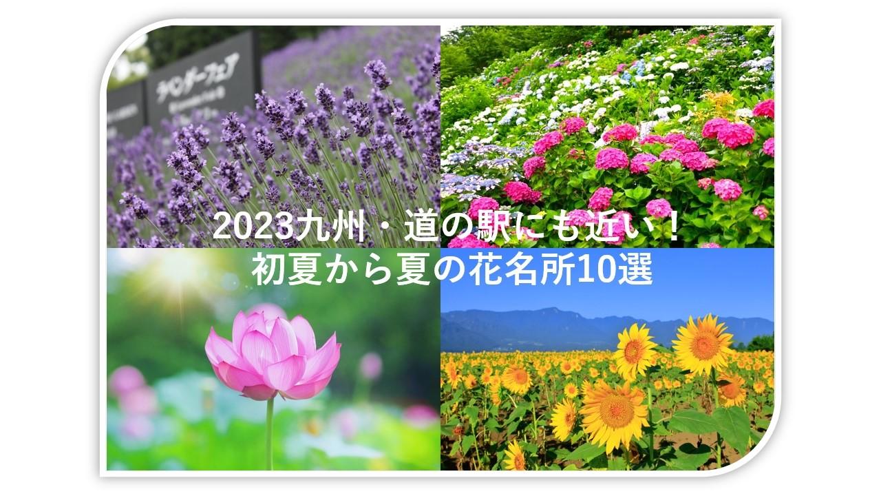 夏の花名所タイトル