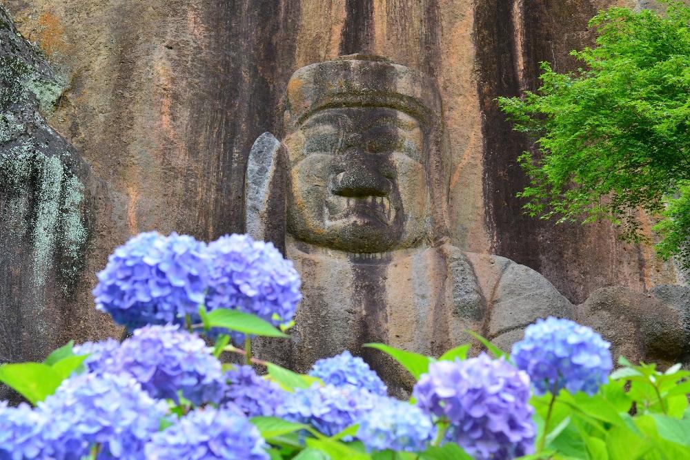 普光寺磨崖仏とアジサイ
