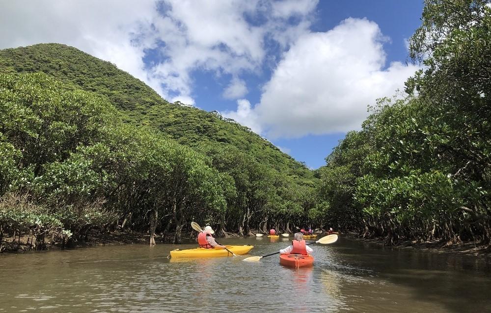 道の駅奄美大島住用　マングローブカヌー