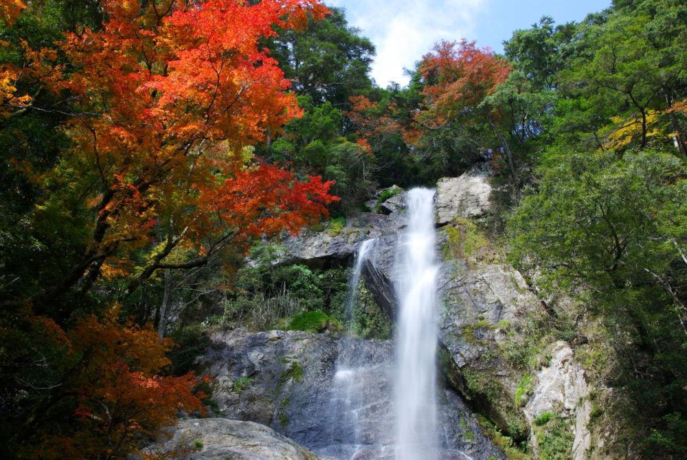 せんだん轟の滝(八代市)