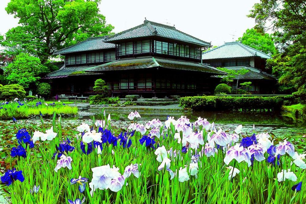 松浜軒1(八代市)