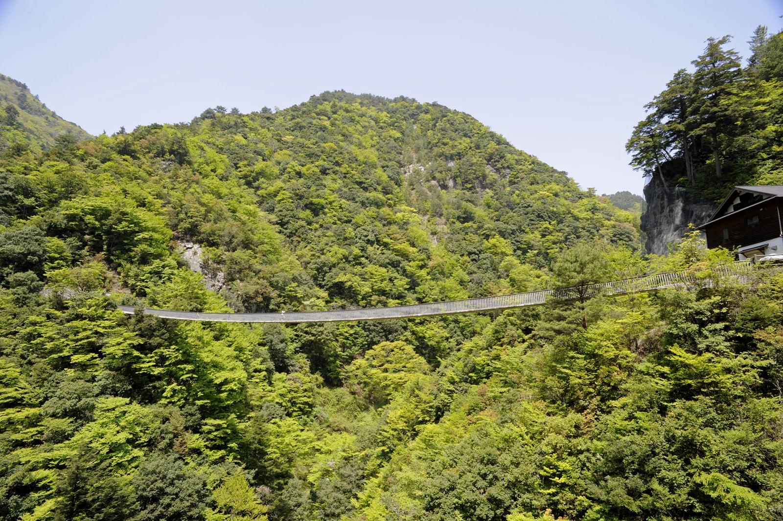 梅の木轟吊り橋