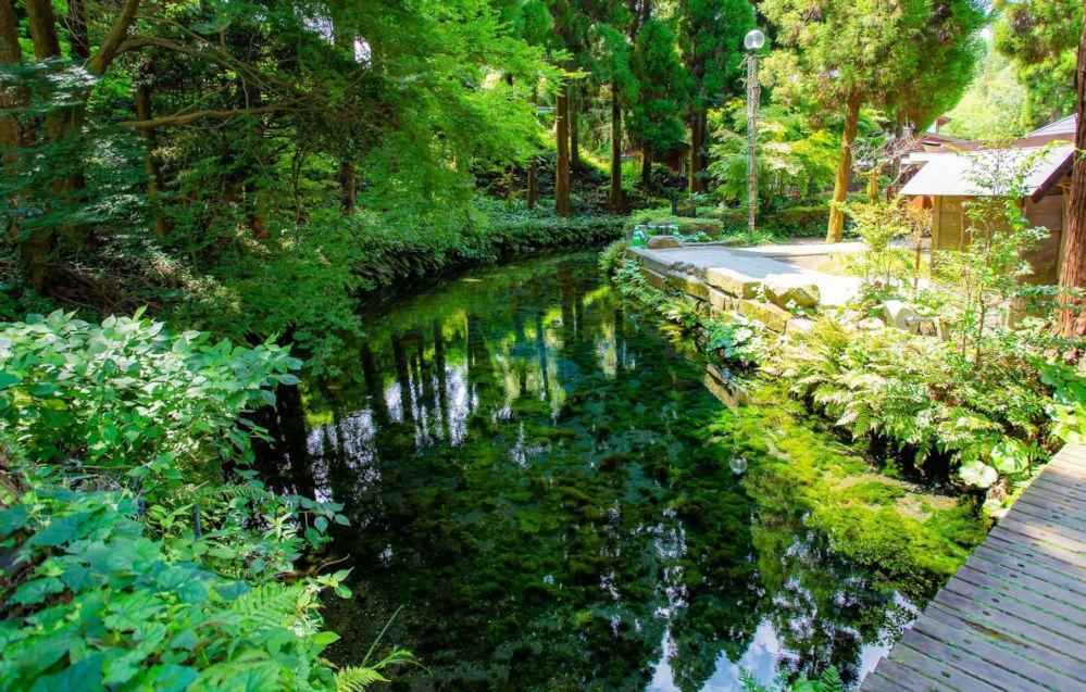 白川水源(南阿蘇村)