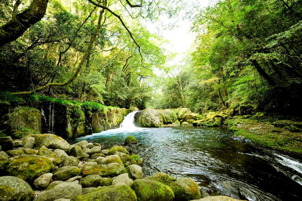 菊池渓谷(菊池市)