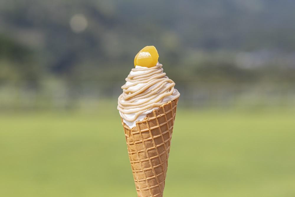 菊鹿ワイナリー　和栗ソフトクリーム