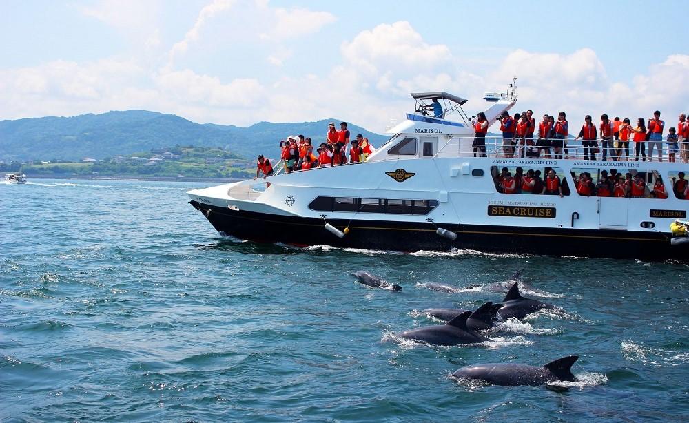 シークルーズ　イルカウォッチング