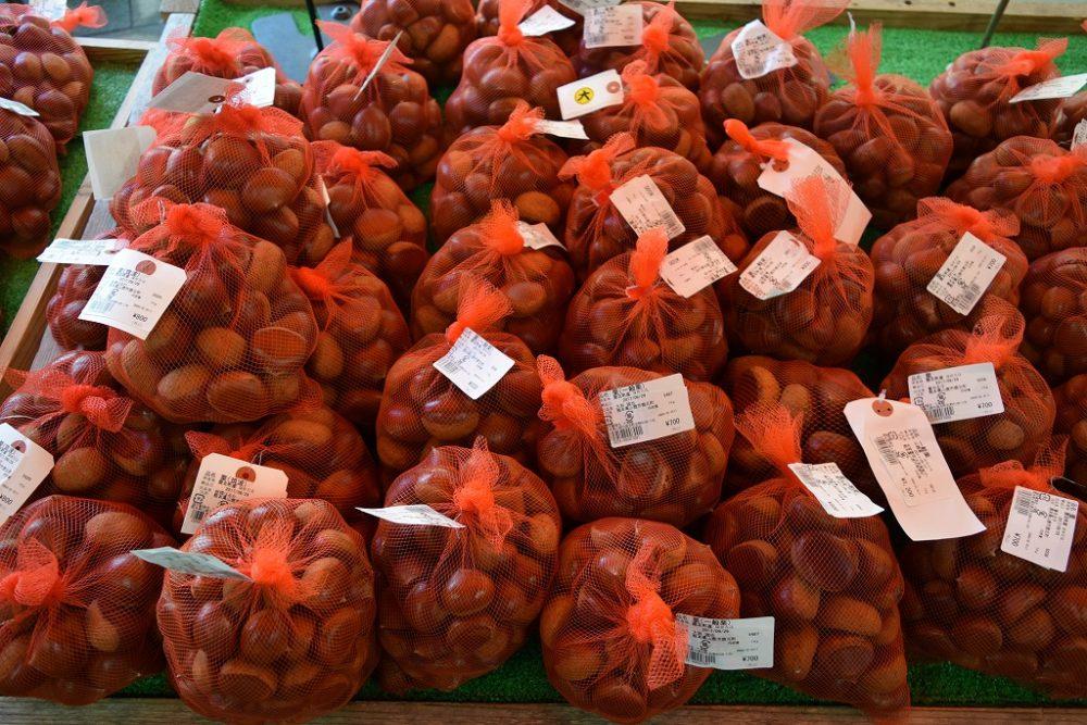 道の駅かほく　栗