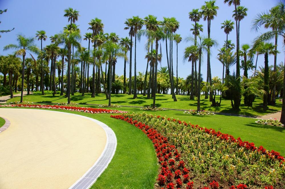 宮交ボタニクックガーデン青島